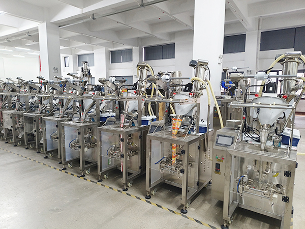 Vertical packer workshop