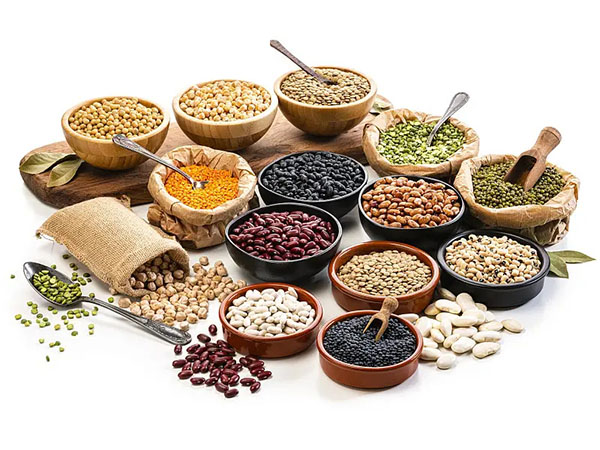 cereals & grains industry