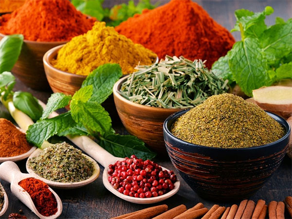 condiment industry